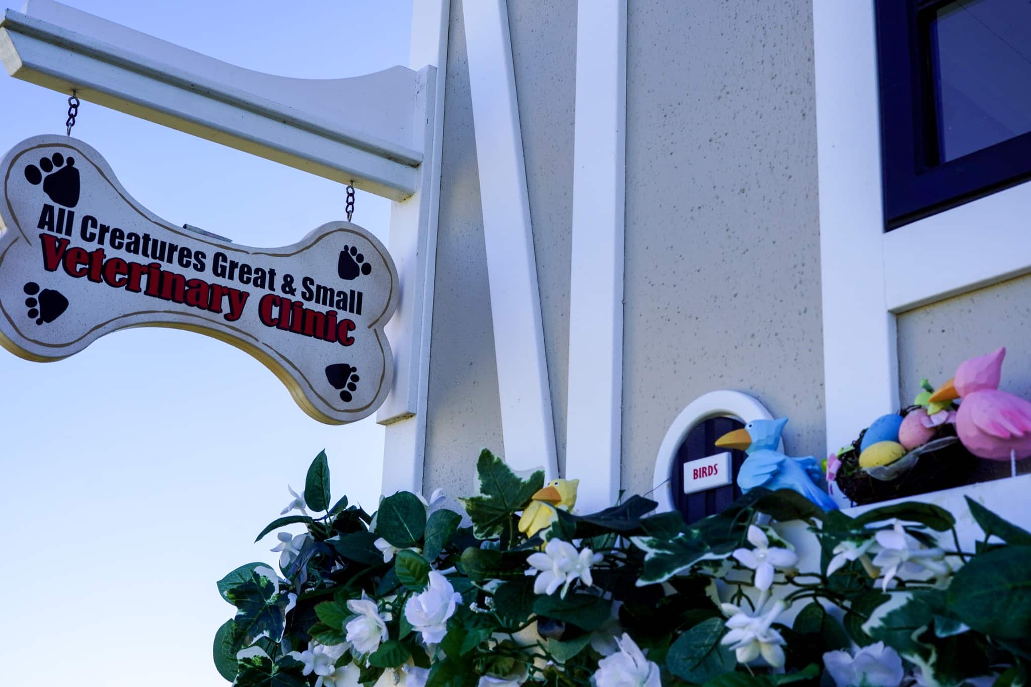 A bone shaped sign, that reads "All Creatures Great & Small Veterinary Clinic", next to a small door labeled "birds", with some colorful birds sitting near by.