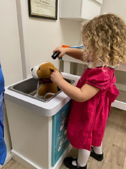 Animal Hospital Washing Station with Paige